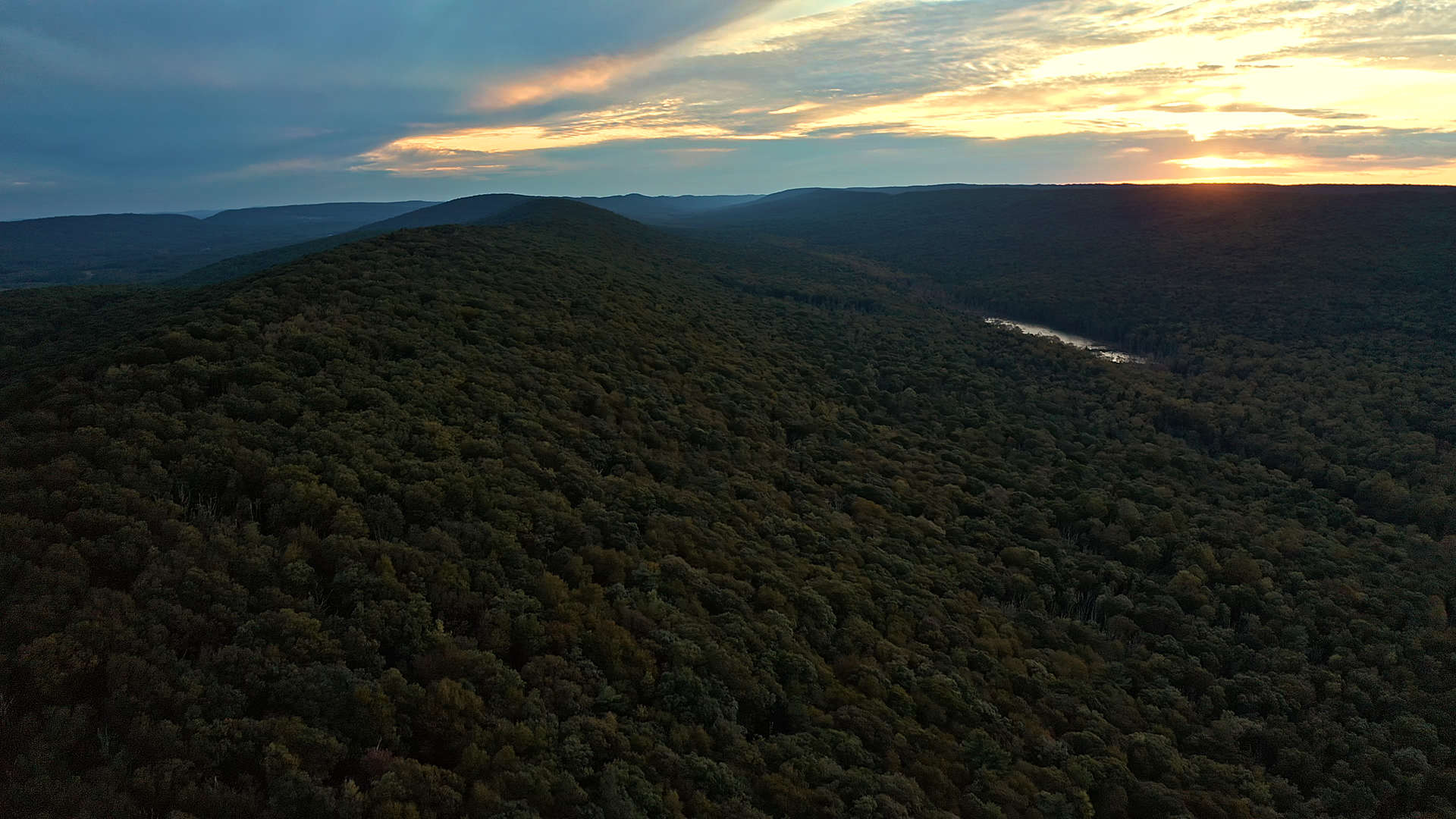 Drone photography of forest at sunset