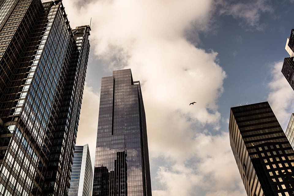 bird soaring among skyscrapers above Chicago River